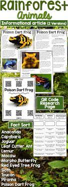 Rainforest Animals Informational Articles Comprehension Activities Bundle Rainforest Animals Rainforest Informational Articles