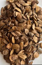 Image result for Hunteria