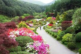 Aug 02, 2020 · 10 taman di korea yang wajib dikunjungi untuk liburan. Eve S World Tempat Tempat Keren Di Korea Selatan Taman Kota Pemandangan Korea Selatan