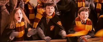Harry Potter And The Sorcerer S Stone Quidditch Hermione Neville Seamus Go Gryffindor Harry Potter Potter Quidditch