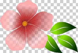 Download lebih dari 20 gambar bunga png tanpa background untuk mempercantik desain anda free download vector pink ink plum eps cdr file format | deoci.comfree download vector,cdr,psd. Pink Flower Illustration Pink Flowers Bunga Herbaceous Plant Flower Garden Flower Png Klipartz