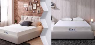 8 Lazy Cat Memory Foam Mattress Review 2018 Best Mattress Memory Foam Mattress Reviews Mattresses Reviews