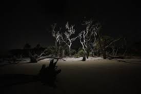 Image result for Light Driftwood 1994 Shadow