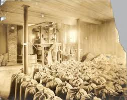 An Employee Bagging Seed At The Original Harris Seeds Facility In Rochester Ny Flower Seeds Seed Company Vegetable Seed