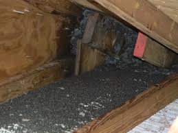 But don't seal these places just yet; Bats In The Attic Palm Beach County Friends Of Bat Friends Of Bat