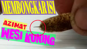 Entdecke rezepte, einrichtungsideen, stilinterpretationen und andere ideen zum ausprobieren. Wesi Kuning Lima Kekuatan Tersembunyi Youtube