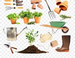 We did not find results for: Gardening Container Garden Garden Tool Gardener Png 800x637px Gardening Allotment Container Garden Flowerpot Food Download Free