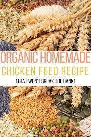 Wondering How To Make Chicken Feed For Broilers How About How To Make Chicken Feed For Layers Organic Chicken F Chicken Feed Organic Chicken Feed Chicken Diy