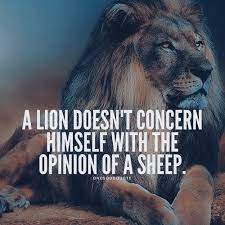 Coalescent Corporation A Lion Doesn T Concern Himself With The Opinions Of Sheep Stay Royal Coalescence Facebook