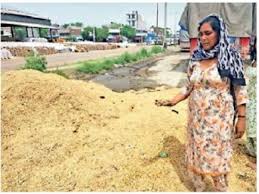 4.2 एमएम बारिश, 24 घंटे में 70 अधिकतम पारा गिरा, आज-कल ऐसा ही मौसम रहने की संभावना