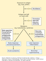 drugs used in asthma chronic obstructive pulmonary disease