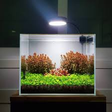 Pin On Aquascaping Ideas