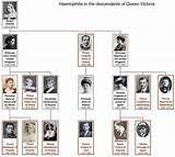 Friedrich und victoria heirateten am 25. 700 Royal Viktoria And Family Tree Ideen Konigshaus Konigin Britische Monarchie