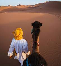 Msa was created using the 10,000 most commonly used. The Beauty Of The Arabic Language Fluent Arabic Classical Arabic Blog