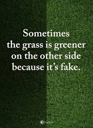 The Grass Is Always Greener On The Other Side Meaning Sometimes The Grass Is Greener On The Other Side Because It S Fake Wise Quotes Motivational Quotes For Life Words Quotes
