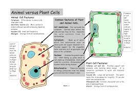 In this article, we will discuss the main differences that exist between animal and plant cells. Plant Animal Cell Printable Earth Mama S World