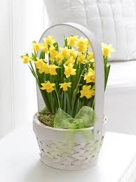 Green chrysanthemums, on the other hand. Latest News And Updates From Flemings Florist Flemingflorist Ie Blog St Patricks Day Flowers