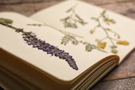 We answer your funeral flower etiquette questions. Creating Memorial Keepsakes With Funeral Flowers Funeral Basics