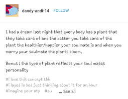 My Soulmate Is Very Dead Writing Promts Daily Writing Prompts Writing A Book