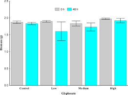 Image result for Pseudechinolaena