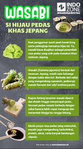 Check spelling or type a new query. Wasabi Si Hijau Pedas Khas Jepang Indozone Id