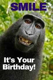 Happy birthday you deserve nothing less fortoday and all. Funny Happy Birthday Memes Images To Share With Friends
