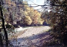 Walking along river ybbs, right 'ybbs riverside path' with caverns. Fliegenfischer Forum Reiseberichte Die Ybbs In Waidhofen Goldener Herbst