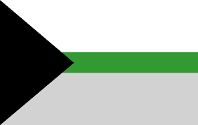 Demiromantic is a romantic orientation on the aromantic spectrum defined as someone who does not experience romantic attraction until they have formed a deep emotional connection with someone. Demiromantic Aromantics Wiki Fandom