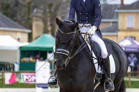 We did not find results for: Hd Wallpaper Horse Horses Dressage Pompadour Nature Animals Western Wallpaper Flare