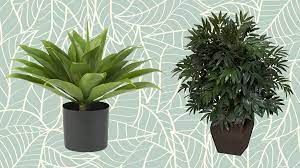 Adding faux trees are a perfect way to relax from the hustle and bustle of daily life. Nearly Natural Plants Do These Artificial Plants Look Like The Real Thing Reviewed
