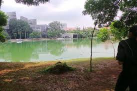 We did not find results for: Rektor Ui Minta Misteri Kematian Akseyna Terus Diusut