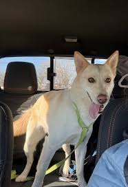 Great day meeting jennier English. She was wicked cool.