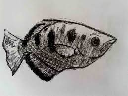 Archer Fish Charcoal Drawing Skull Tattoo Charcoal Drawing Tattoos