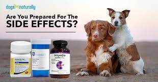 Carprofen For Dogs 5 Natural Alternatives Dogs Naturally Coconut Oil For Dogs Oils For Dogs Medication For Dogs