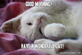 Cute And Funny Good Morning Memes Funny Good Morning Memes Morning Memes Good Morning Meme Thanks for sharing this types of funny memes also checkout out this. cute and funny good morning memes