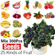 Maybe you would like to learn more about one of these? Mixed 300pcs Fruit Seed Plants Bonsai Delicious Fruit Tree Seeds For Home Garden To Plant Eas Buy At A Low Prices On Joom E Commerce Platform
