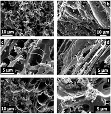 Maybe you would like to learn more about one of these? Materials Free Full Text Symmetric Supercapacitor Electrodes From Koh Activation Of Pristine Carbonized And Hydrothermally Treated Melia Azedarach Stones Html