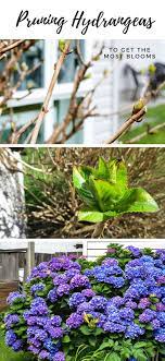 Pin On Backyard Inspirations