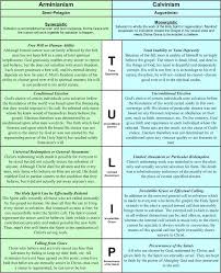Related Image Tulip Calvinism Christian Reformation