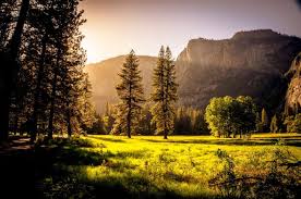 How To Master Natural Lighting For Outdoor Photography