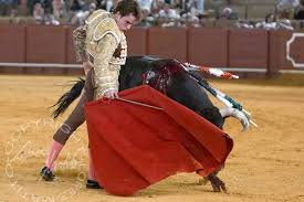 Nada – Sevilla Taurina