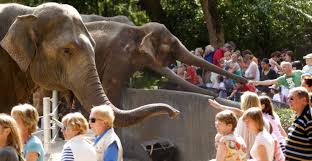 Check spelling or type a new query. Hamburg Mit Kindern Scandic Hotels