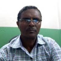 PDF) Population dynamics of white mango scale Aulacaspis tubercularis  (Hemiptera: Diaspididae) and its natural enemies in Bahir Dar area,  Northwest Ethiopia