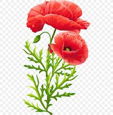 Sweet vanilla roast bouquet follows. Flower Bouquet Poppy Floral Design Clip Art Png 500x839px Flower Annual Plant Common Poppy Coquelicot Cut