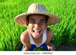 3+ Thousand Child Labor Farm Royalty-Free Images, Stock Photos & Pictures