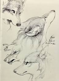 Pin By Eunjo Lee On Animals Animal Drawings Animal Sketches Wolf Drawing