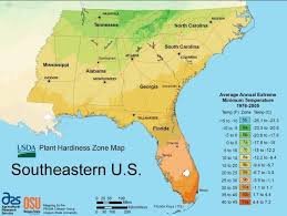 Tree cold hardiness zones of georgia. Find Your Usda Zone With These State Maps Plant Hardiness Zone Growing Zones Plant Hardiness Zone Map