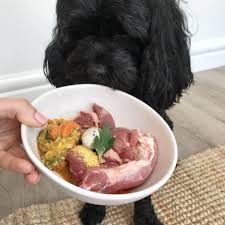 Meal Plans Leo Is A Well Fed And Very Healthy Dog Eating Only A Raw Diet We Feed Our Dogs A Barf Diet Raw Food Diet Raw