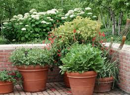 Check spelling or type a new query. How To Fertilize Plants In Containers The Old Farmer S Almanac