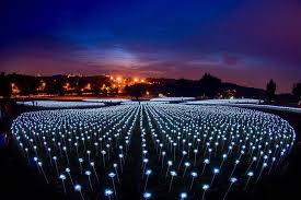 Busiest days at malaysia agro exposition park serdang (maeps) tuesday, thursday and saturday. Light Sensation Serdang Maeps Malaysia Led Roses Malaysian Flavours